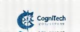 CogniTech Solutions Logo